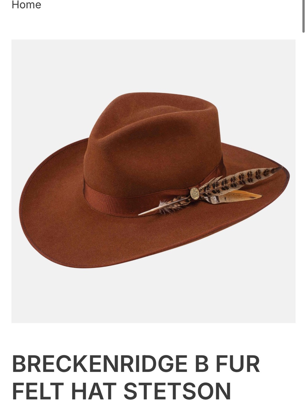 Stetson Breckenridge Fur Felt Hat in Rich Chestnut with Feather Accent